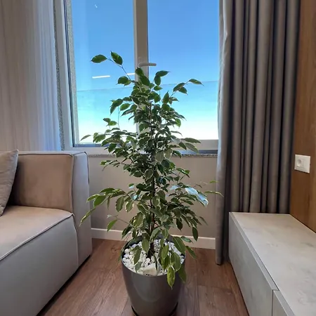 Stylish Sky Romantic Sea & View Appartement